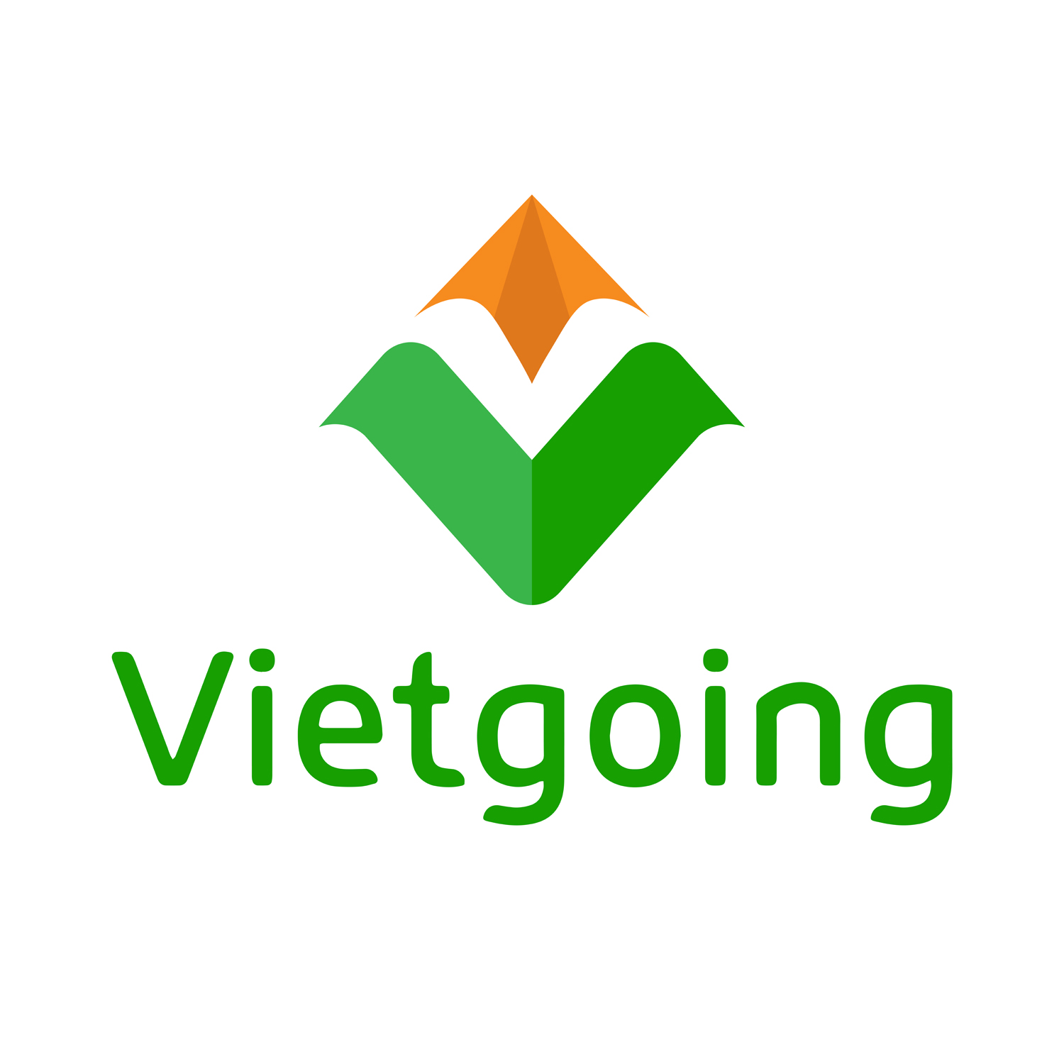 vietgoing.com